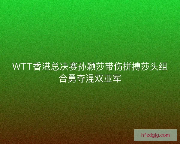 WTT香港总决赛孙颖莎带伤拼搏莎头组合勇夺混双亚军