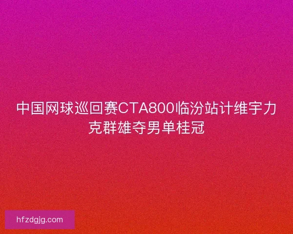 中国网球巡回赛CTA800临汾站计维宇力克群雄夺男单桂冠